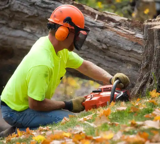 tree services Glasgow Village